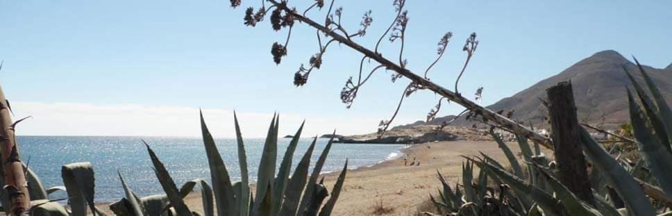 Hostal Casa Emilio Almería Dış mekan fotoğraf